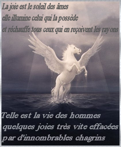 tachez d'être heureux